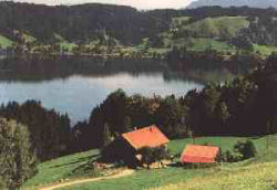 Urlaub auf dem Bergbauernhof im Allgu