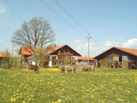 Urlaub auf dem Bauernhof in Nesselwang im Allgäu