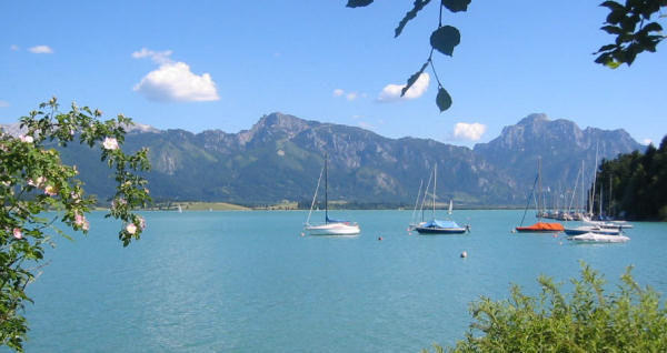 Blick auf den Forggensee