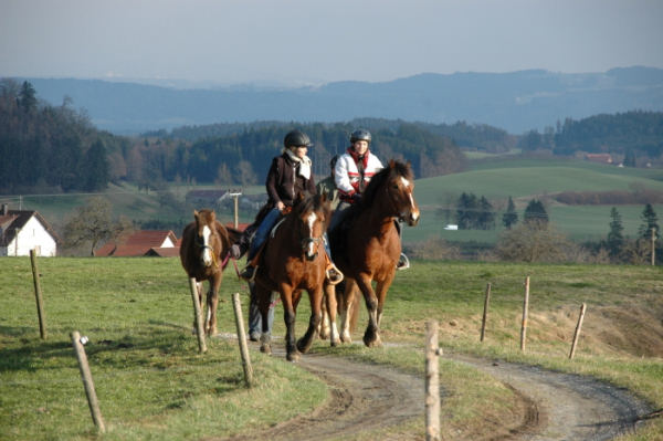 Reiturlaub Wangen